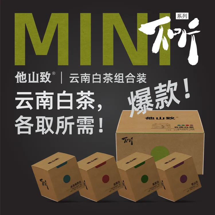他山致「云南白茶·不听组合」2023年原料白茶盒装焖茶老白茶160g/盒