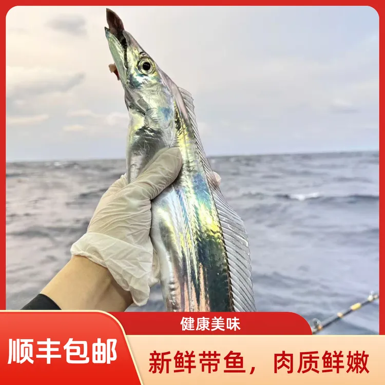 5斤18条以内（每条2-3两小带鱼）宁波舟山东海钓带鱼鲜小眼睛新鲜