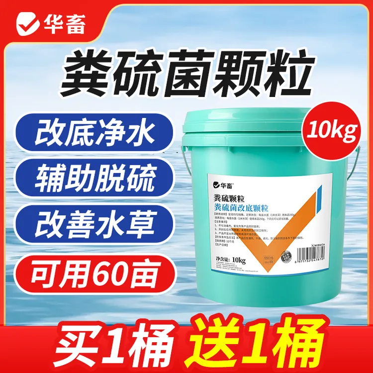 【买1桶送1桶】粪硫菌颗粒改底净水除臭黑泥去硫化氢颗粒鱼虾蟹S