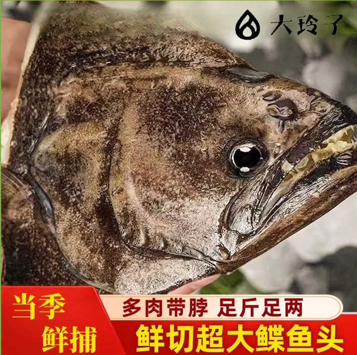 【玲子甄选】新鲜冷冻鲽鱼头特大鸦片鱼头炭烤烤鱼商用批发顺丰包邮