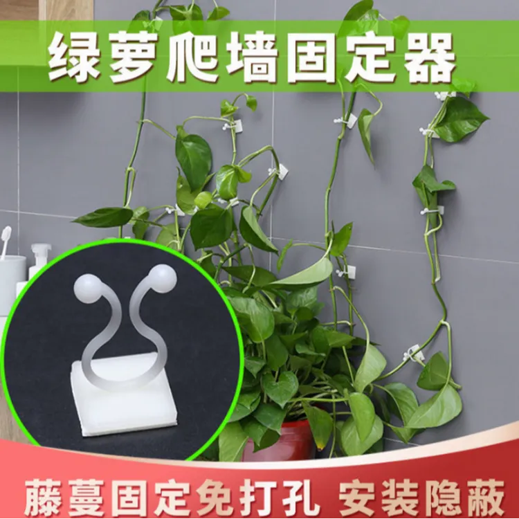 【脱落包赔】月季爬墙固定器绿萝上墙神器隐形无痕免打孔攀爬理线器