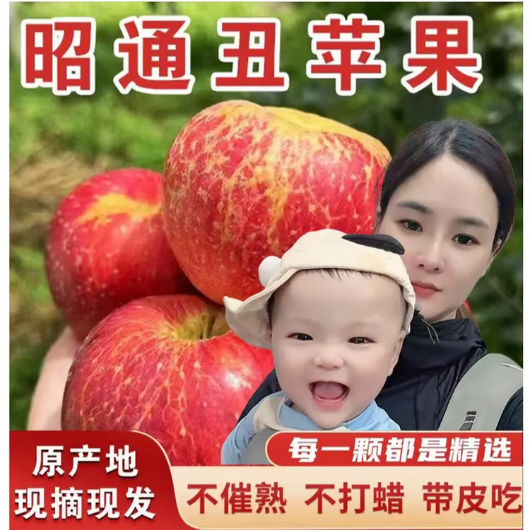 【米姐专属】【当季】正宗云南昭通现摘现发冰糖心丑苹果当季新鲜脆甜多汁水果