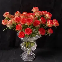 【云舍花卉】【爱丽丝】多头玫瑰全场鲜花满2单及以上鲜花包邮