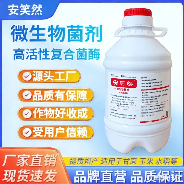 【甘蔗】安笑然微生物菌剂促苗壮根甘蔗水稻农田适用