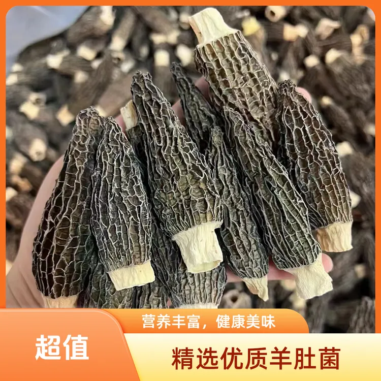 精选优质高山白切鸡羊肚菌头茬干货煲汤营养丰富食用菌类