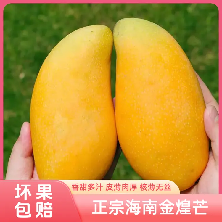【海南芒果】金煌芒新鲜应季芒果皮薄肉厚核小香甜产地水果直发