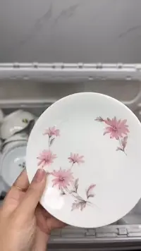 【闪购商品】288回流瓷器，默认微瑕18.8包邮