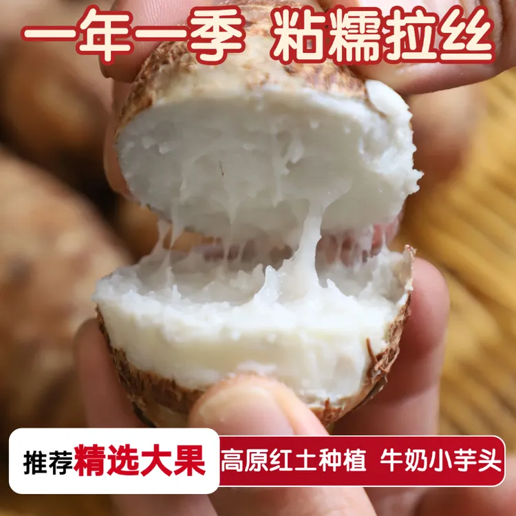 云南牛奶小芋头[新芋头]粉糯奶香甜味细腻嫩滑新鲜芋艿毛芋头仔
