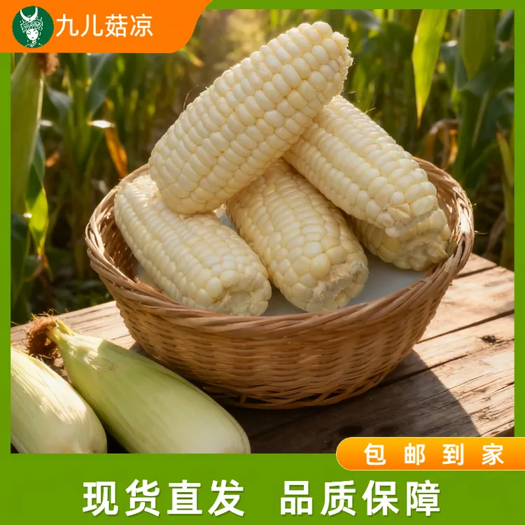 世界硒都种植网红北海道牛奶玉米可生吃清甜爆汁奶香浓郁新鲜饱满