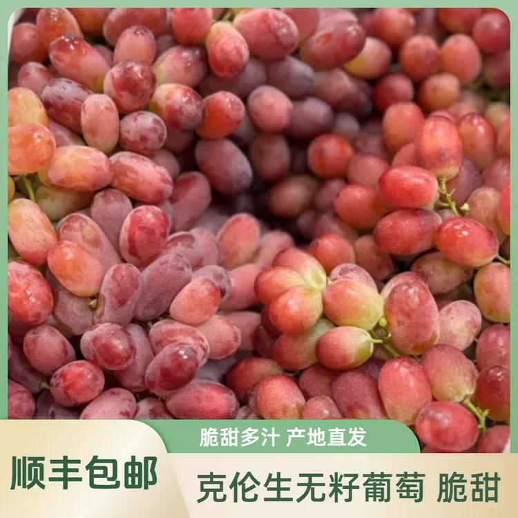 【顺丰包邮】美味克伦生无籽葡萄香甜多汁产地直发