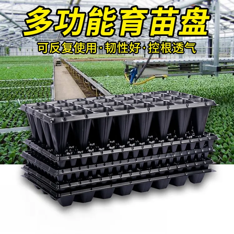 育苗盘穴盘塑料杯种植神器育苗盆营养钵蔬菜育种扦插农用育苗托盘