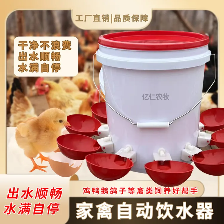 成年鸡鸭鹅自动饮水器鸡饮水碗鸭鹅鸡自动饮水桶鸡鸽子自动饮水碗