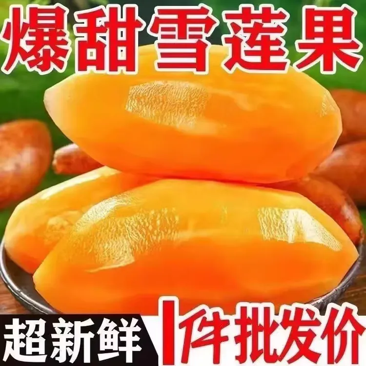 云南天山雪莲果新鲜应季水果黄心清甜脆爽多汁现挖现发包邮