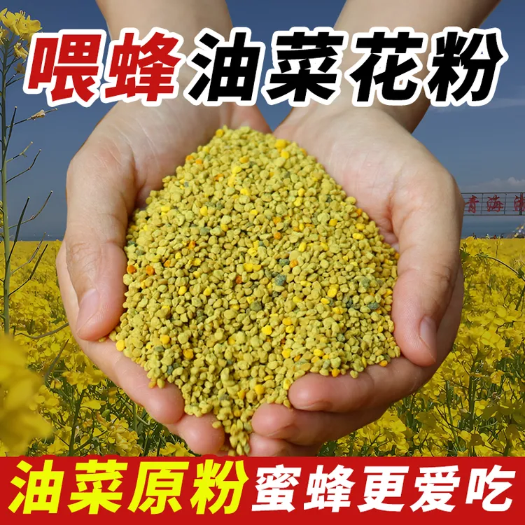 蜜蜂油菜花粉纯天然花粉中意蜂专用新鲜颗粒养蜂中蜂专用花粉饲料