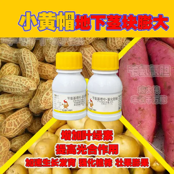 地下茎块膨大通用,花生,大蒜,生姜,土豆,红薯等-增产促进生长功能