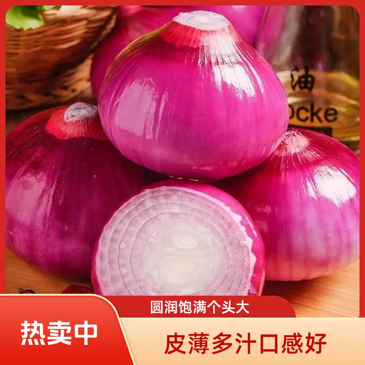 【坏果包赔】新鲜紫红皮洋葱圆葱葱头个大形圆鲜嫩多汁农家自种蔬菜