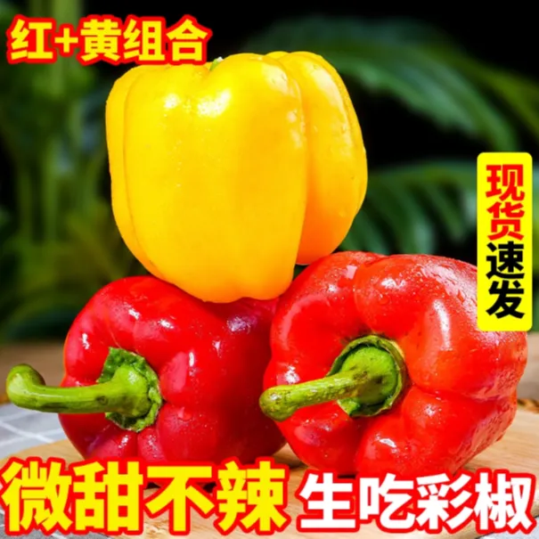 【禾田四季】新鲜采摘水果彩椒脆甜不辣生吃五彩灯笼椒有机蔬菜