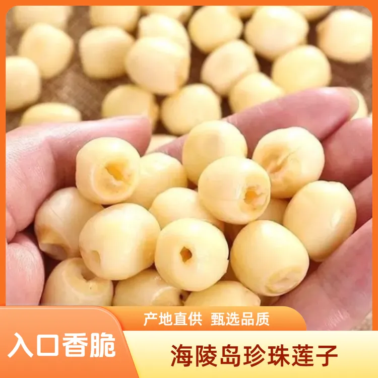 海陵岛珍珠莲子去芯即食零食煲汤食材白莲子健康食品真空包装保鲜