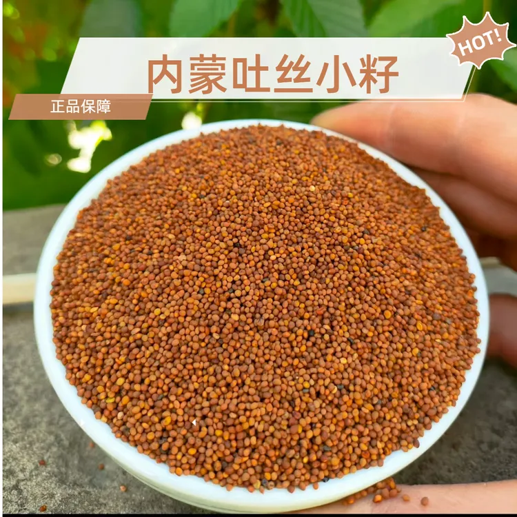 内蒙古兔.丝子精选菟小丝子内蒙小籽自然产品泡茶泡水