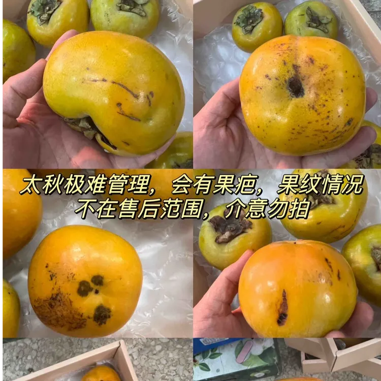 京东包邮 太秋脆柿二级果花皮果新鲜柿子