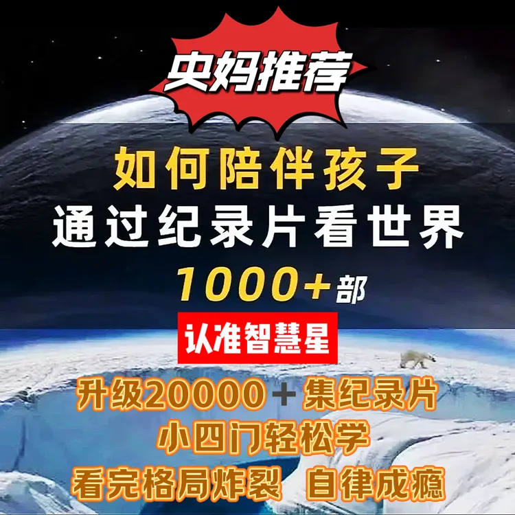 【正版福利】高分小初高小四门纪录片早教逻辑训练思维教具