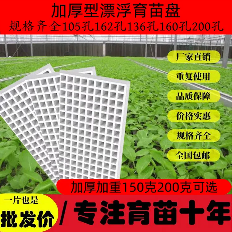 泡沫漂浮漂盘适用于玉米辣椒瓜果蔬菜水培育苗多规格可选162/200/