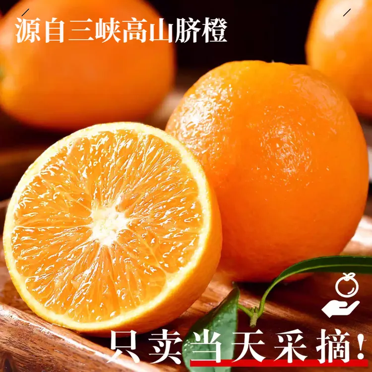 三峡秭归高山脐橙当季新鲜水果自家农场现摘现发