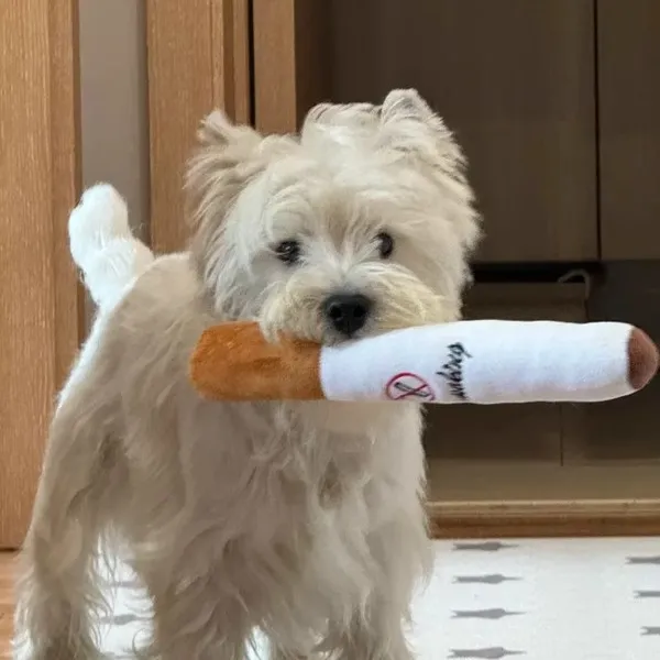 新品香烟抱枕烟戒烟自嗨解闷磨牙耐咬棒狗狗毛绒玩具可发声