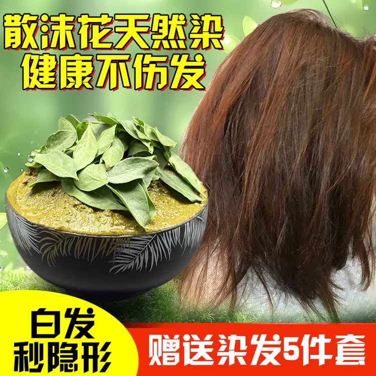 现摘海娜花指甲花散沫花叶子叶泥天然植物