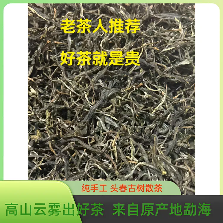 头春普洱茶老茶人推荐西双版纳勐海普洱冰岛生茶茗茶叶正宗普洱茶