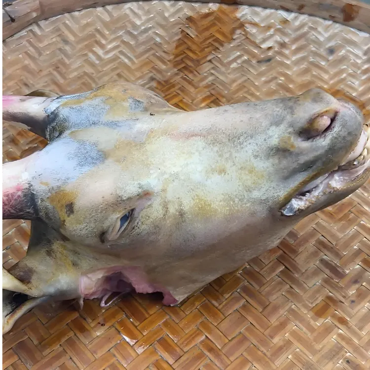 黑山羊羊头散养广西黑山羊肉