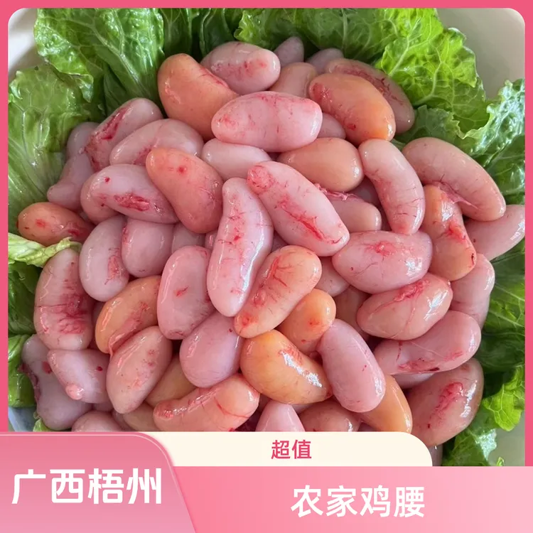 广东、广西梧州（到手包新鲜）公鸡蛋鸡腰子鸡春子鸡子批发冷链包邮