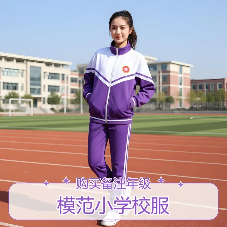 天津市静海区模范小学同款  春夏秋冬季学院风百搭校服