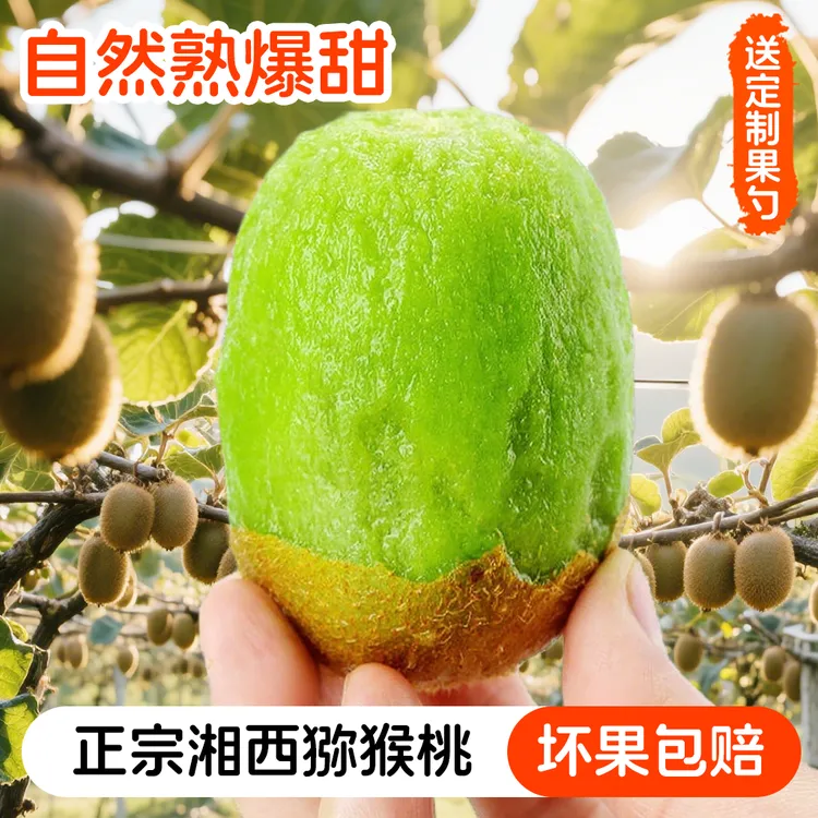 现摘现发猕猴桃绿心奇异果时令新鲜水果应当季整箱包邮孕妇弥猴桃