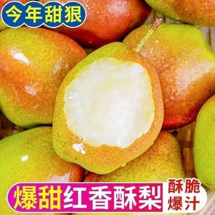【带箱5斤】正宗红香酥梨子当季新鲜水果脆甜产地直发整箱d商品图