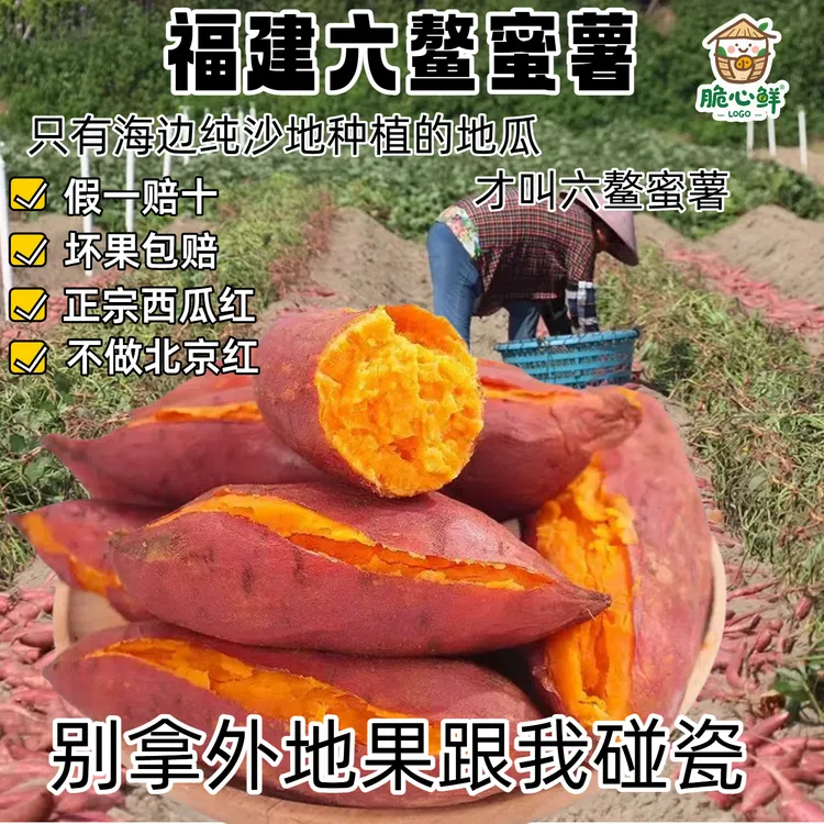福建漳浦六鳌沙地红心蜜薯西瓜红地瓜洋芋番薯板栗小香署新鲜红薯