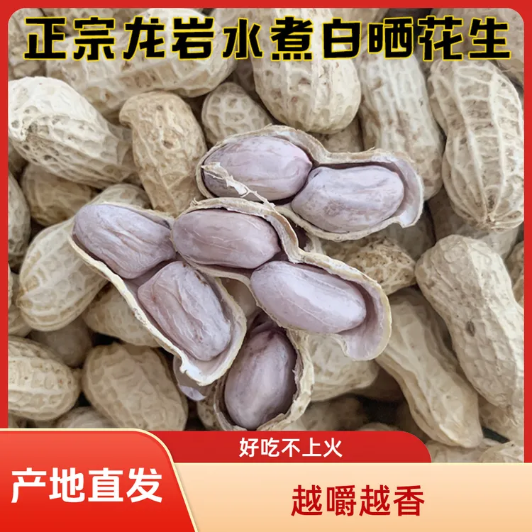福建龙岩花生水煮白晒咸干花生紫衣湿烤红衣特产蒜香花生四粒红