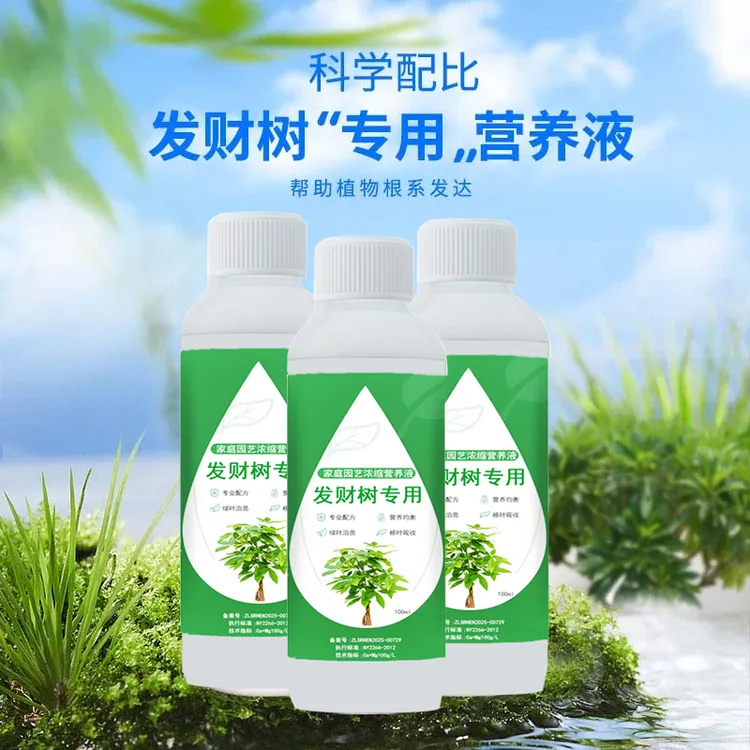 发财树幸福树专用营养液拯救黄叶烂根适用于水培盆栽养花肥料