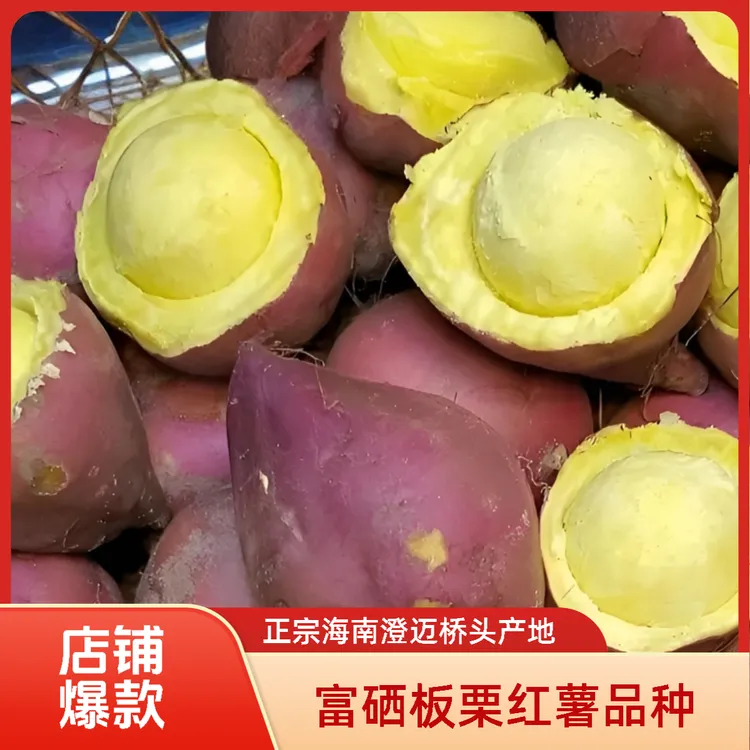 【圆果】海南澄迈桥头富硒地瓜粉糯香甜板栗红薯新鲜现挖纯正板栗薯