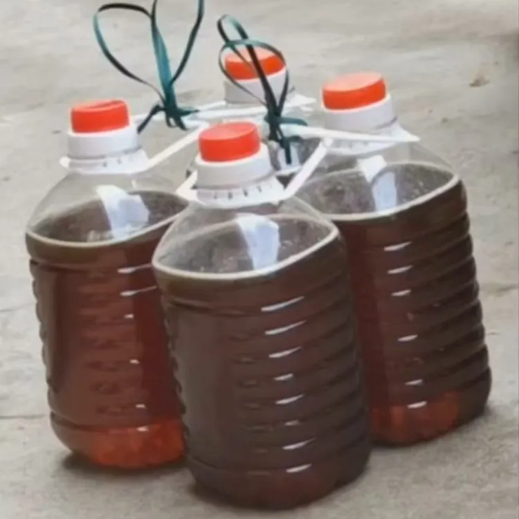隔年龙眼蜜养蜂繁蜂专用蜜越冬蜂粮