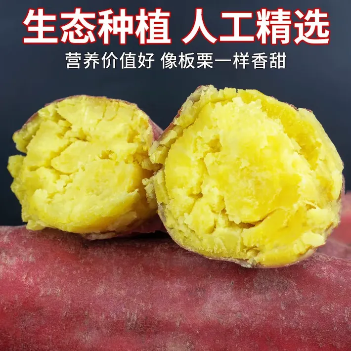 s正宗陕西沙地板栗红薯新鲜现挖粉面干甜可烤可煮粗粮