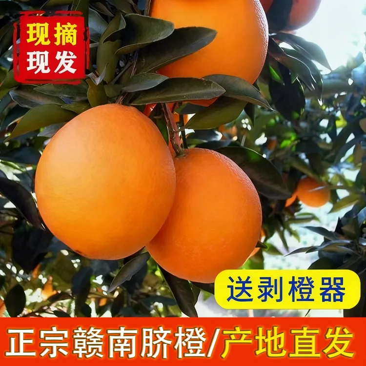 【达人推荐】正宗江西赣南脐橙多汁新鲜当季水果薄皮10手剥甜橙产地
