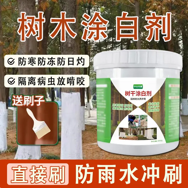 树干涂白剂果树大树涂白剂防寒防冻隔离病虫防日灼啃咬涂白送刷子