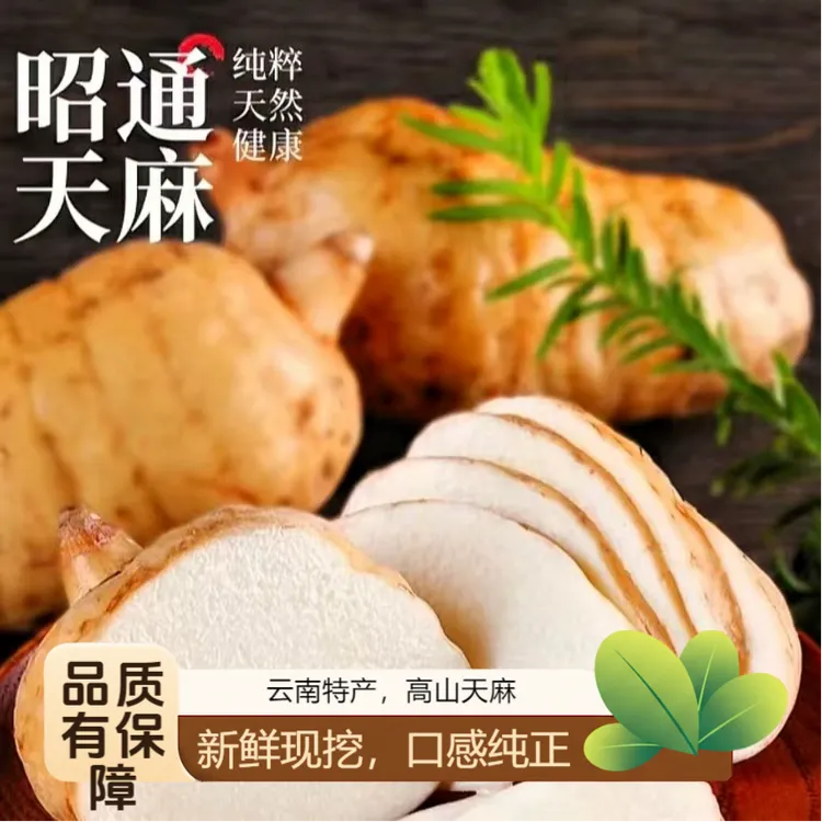 正宗【新鲜天麻】云南昭通高山密林老品种产地直发炖鸡煲汤烹饪