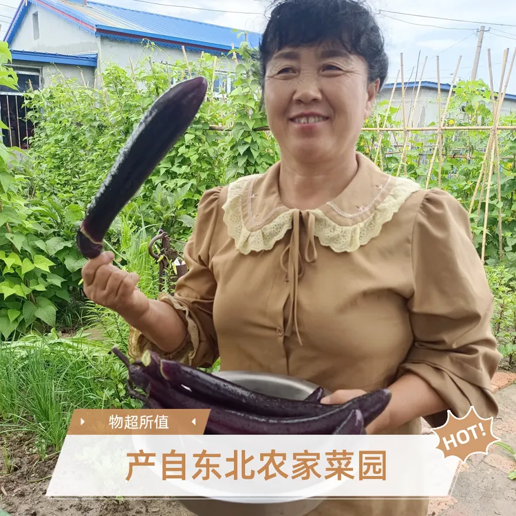 东北农家真正的小菜园茄子，紫色长茄子，现摘现发2.5kg/1箱