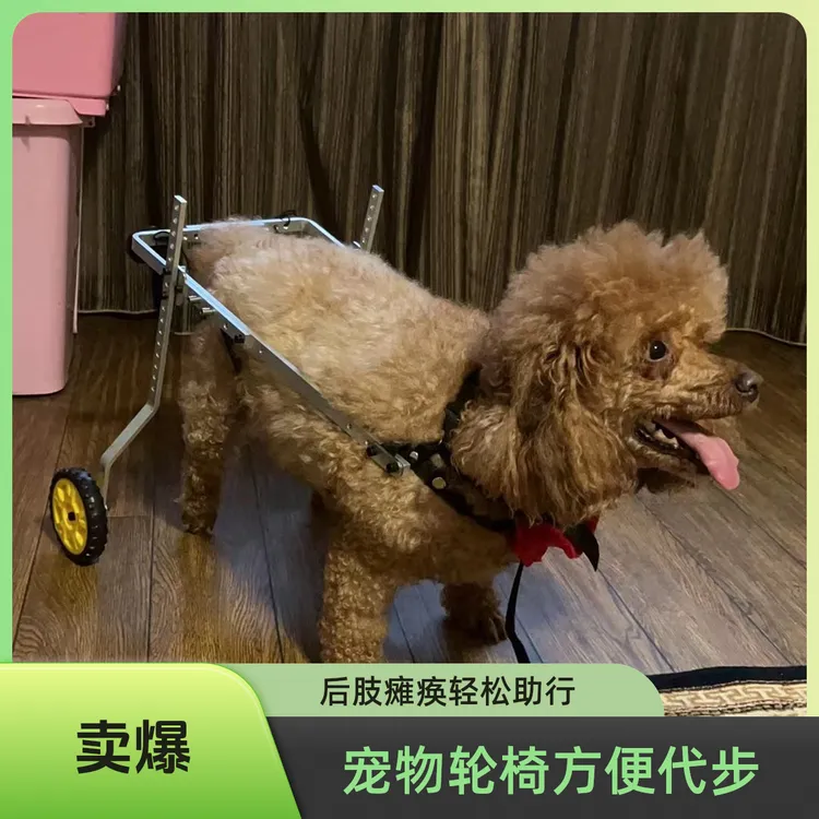 狗轮椅残疾猫狗狗后肢助力车瘫痪宠物代步车狗狗轮椅后腿支架