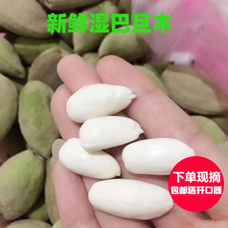 新鲜巴旦木现摘湿巴旦木带青皮绿皮生巴旦木扁桃仁新鲜大杏仁包邮