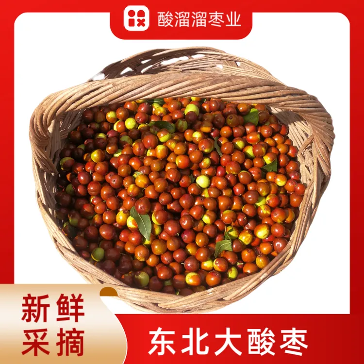 东北朝阳新鲜大酸枣酸甜脆爽现摘现发孕妇零食