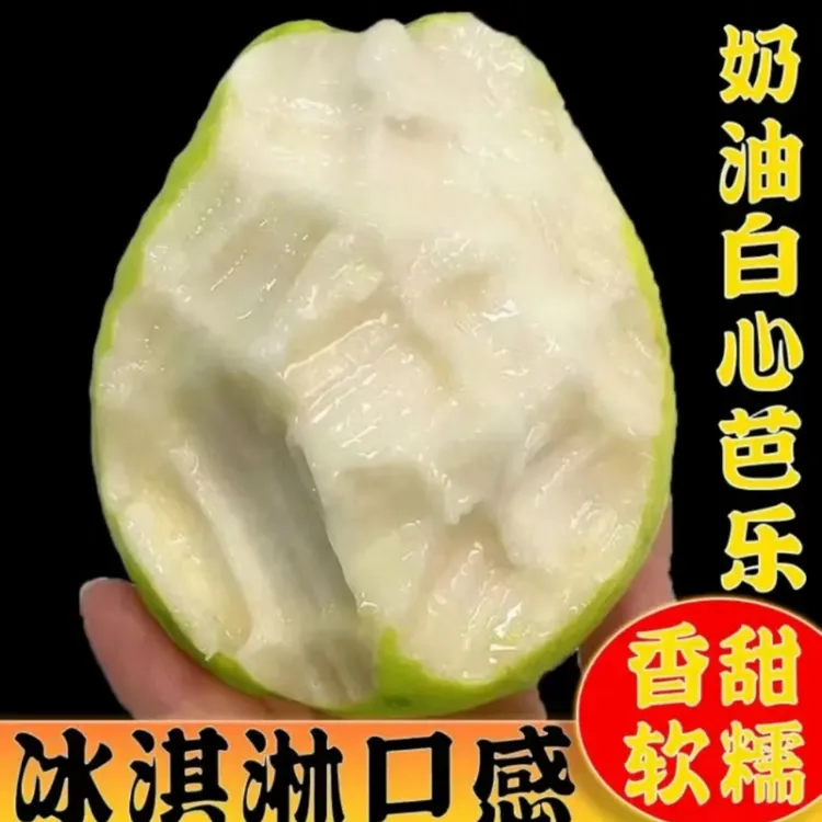 (生鲜专线）广西黄金奶油软糯芭乐番石榴软心香甜白心正宗台湾品种