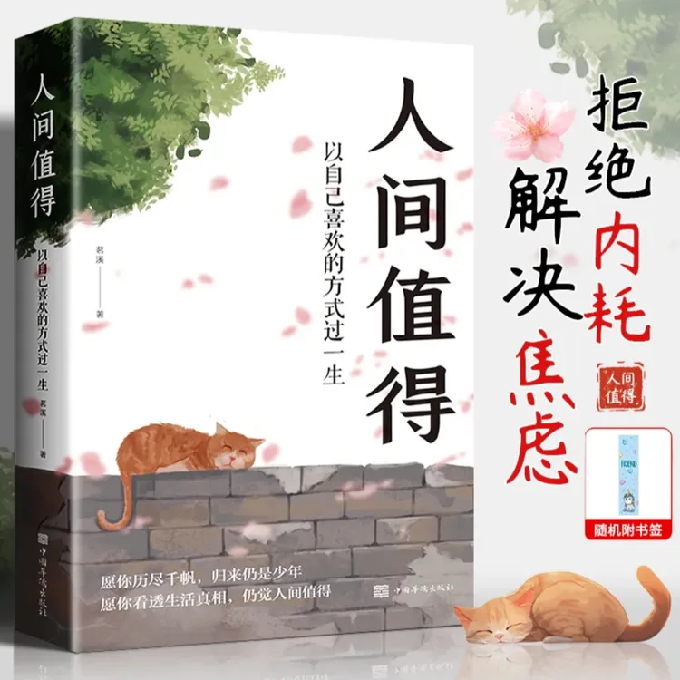 【人间值得】少年励志心灵读本成长书籍以自己喜欢的方式过一生